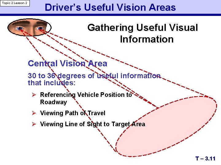Topic 2 Lesson 2 Driver’s Useful Vision Areas Gathering Useful Visual Information Central Vision