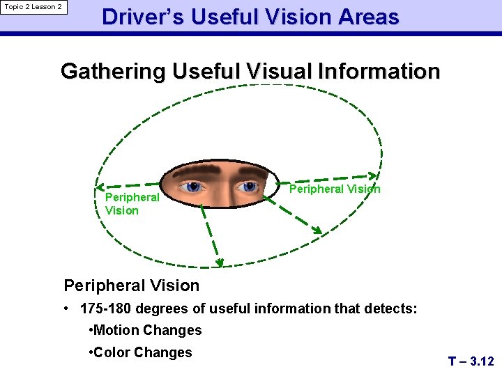 Topic 2 Lesson 2 Driver’s Useful Vision Areas Gathering Useful Visual Information Peripheral Vision