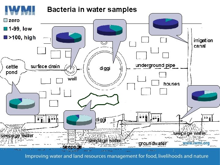 Bacteria in water samples 