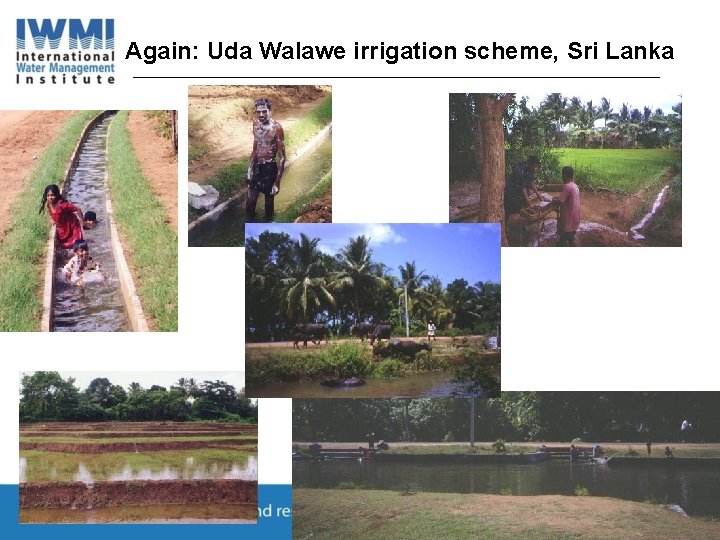 Again: Uda Walawe irrigation scheme, Sri Lanka 