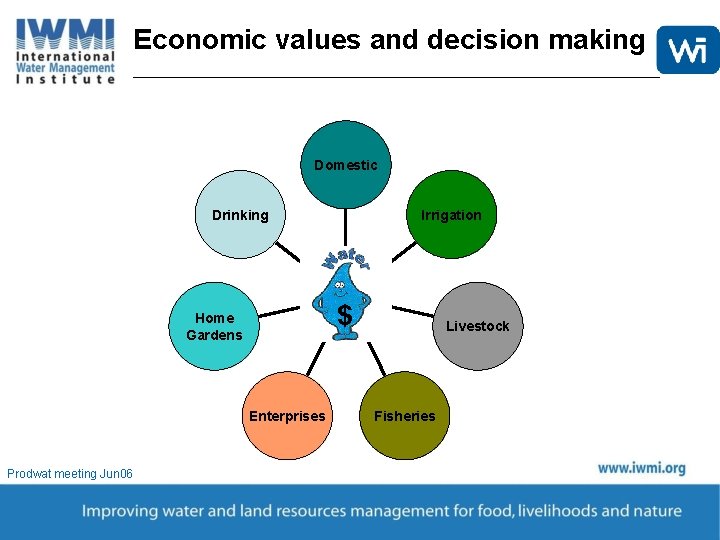 Economic values and decision making Domestic Drinking Irrigation Water $ Home Gardens Enterprises Prodwat