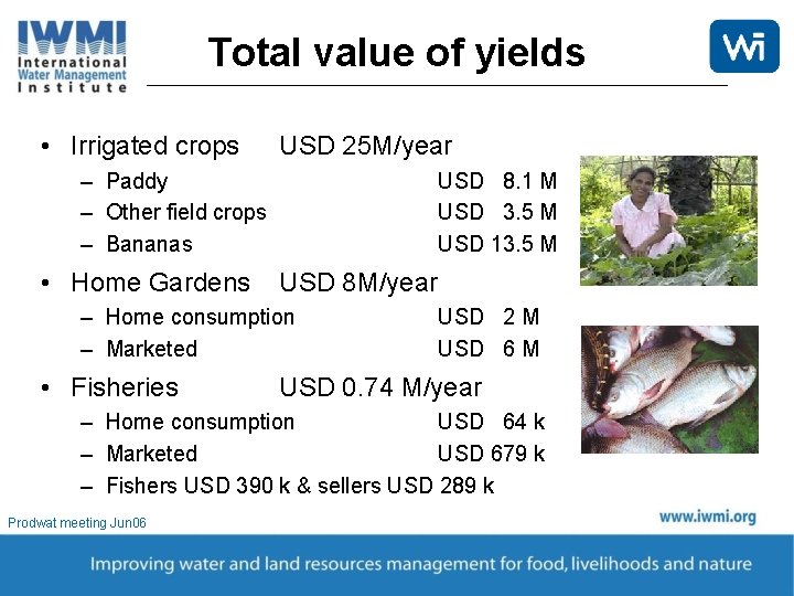 Total value of yields • Irrigated crops USD 25 M/year – Paddy – Other