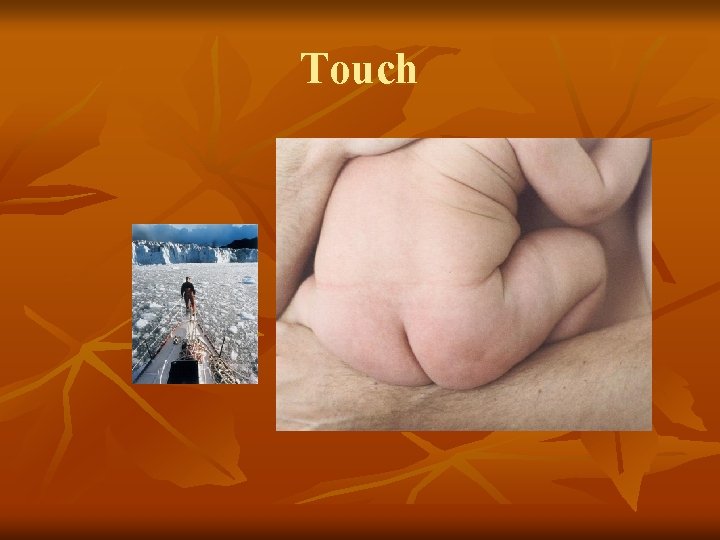 Touch 