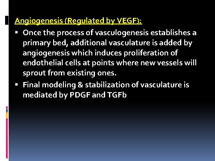 Angiogenesis (Regulated by VEGF): Once the process of vasculogenesis establishes a primary bed, additional