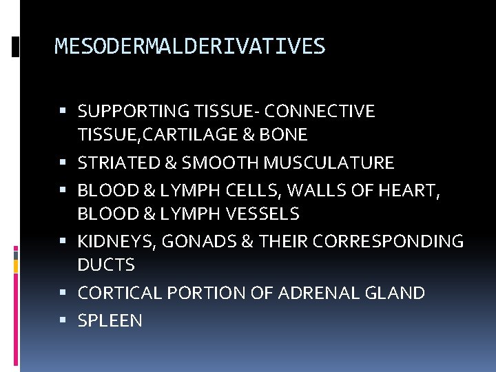 MESODERMALDERIVATIVES SUPPORTING TISSUE- CONNECTIVE TISSUE, CARTILAGE & BONE STRIATED & SMOOTH MUSCULATURE BLOOD &