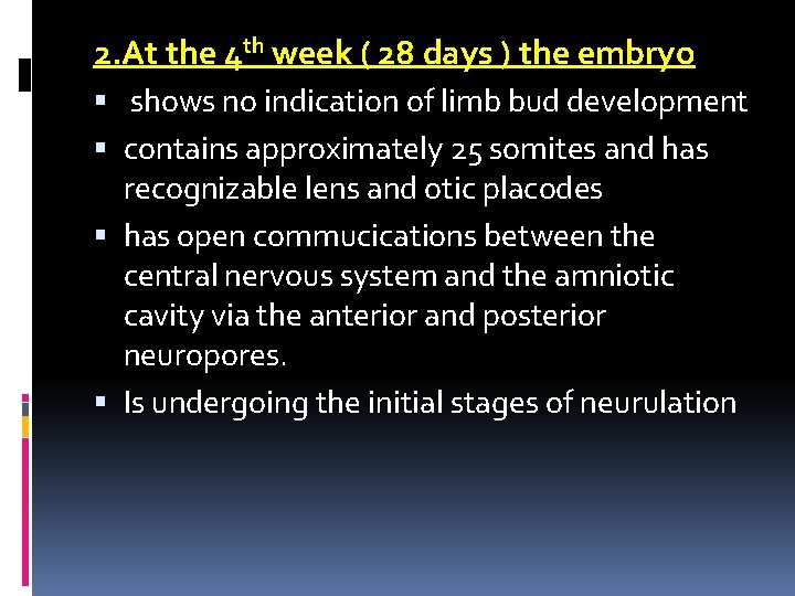 2. At the 4 th week ( 28 days ) the embryo shows no