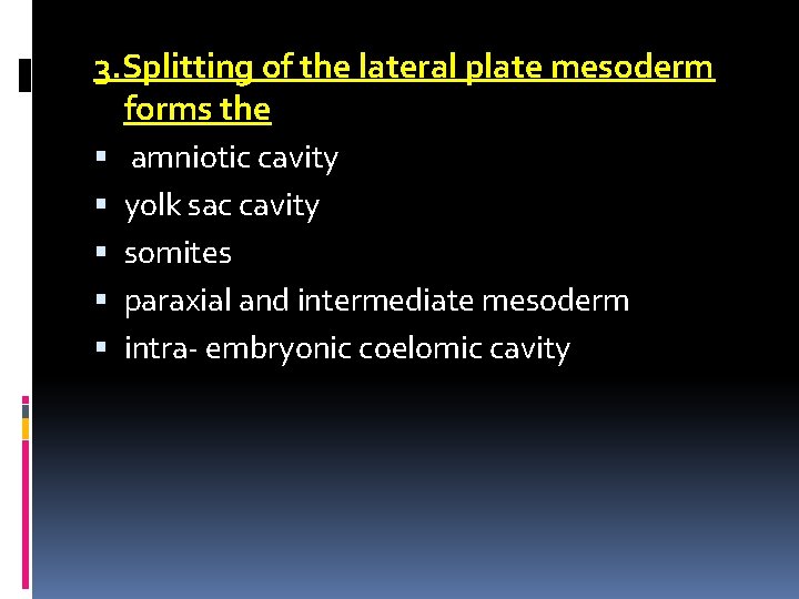 3. Splitting of the lateral plate mesoderm forms the amniotic cavity yolk sac cavity