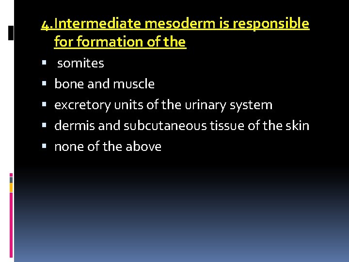 4. Intermediate mesoderm is responsible formation of the somites bone and muscle excretory units