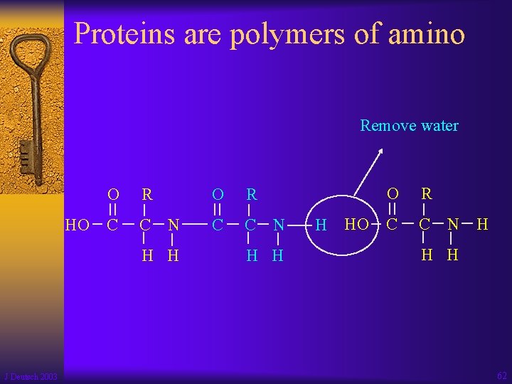 Proteins are polymers of amino Remove water O HO C R O R C