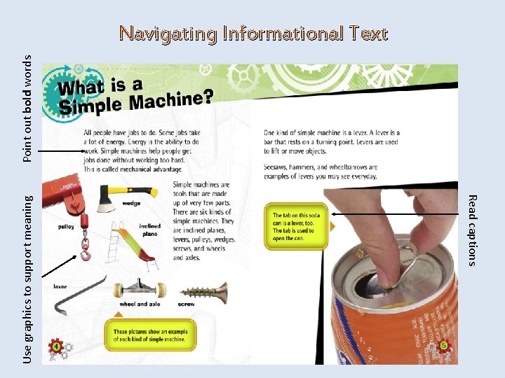 Read captions Use graphics to support meaning Point out bold words Navigating Informational Text