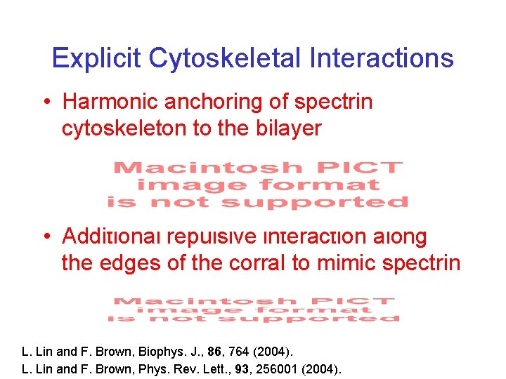 Explicit Cytoskeletal Interactions • Harmonic anchoring of spectrin cytoskeleton to the bilayer • Additional