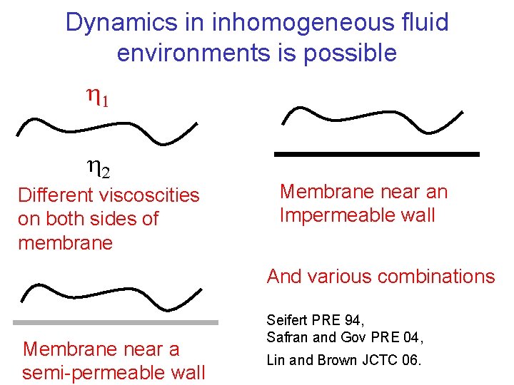 Dynamics in inhomogeneous fluid environments is possible Different viscoscities on both sides of membrane