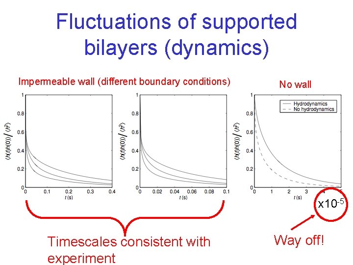 Fluctuations of supported bilayers (dynamics) Impermeable wall (different boundary conditions) No wall x 10