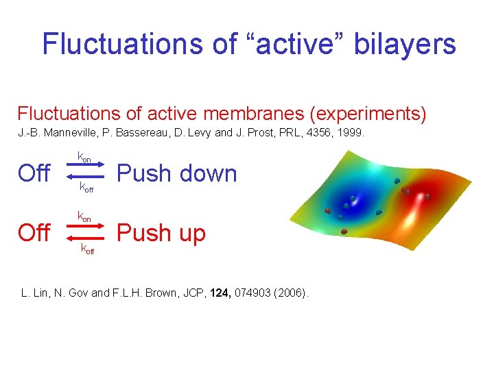 Fluctuations of “active” bilayers Fluctuations of active membranes (experiments) J. -B. Manneville, P. Bassereau,