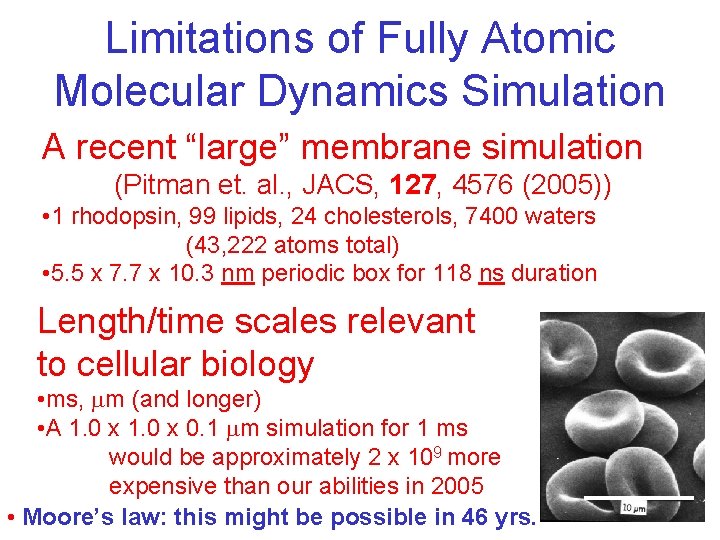 Limitations of Fully Atomic Molecular Dynamics Simulation A recent “large” membrane simulation (Pitman et.
