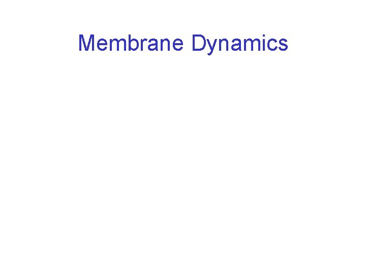 Membrane Dynamics 