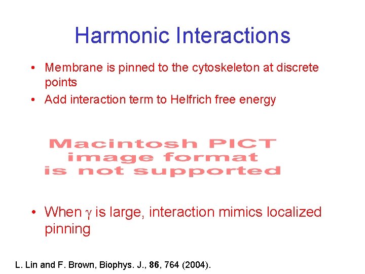 Harmonic Interactions • Membrane is pinned to the cytoskeleton at discrete points • Add