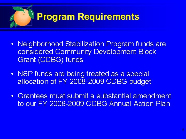 Program Requirements • Neighborhood Stabilization Program funds are considered Community Development Block Grant (CDBG)