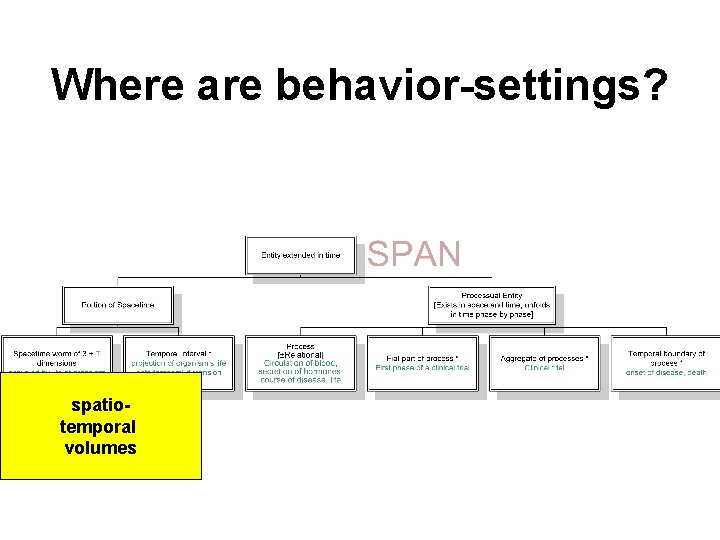 Where are behavior-settings? spatiotemporal volumes 