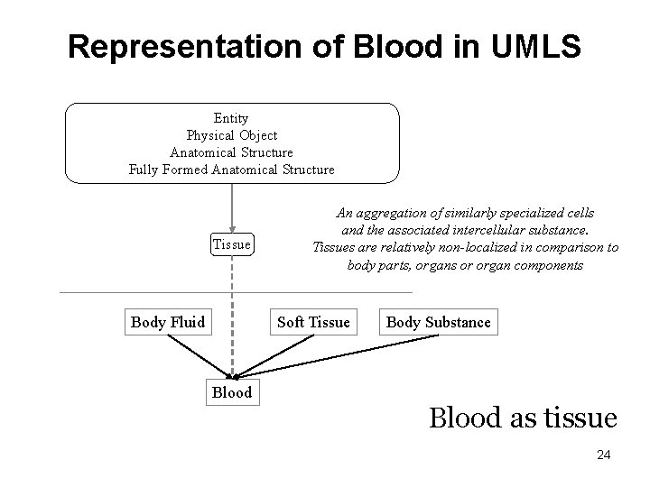 Representation of Blood in UMLS Entity Physical Object Anatomical Structure Fully Formed Anatomical Structure