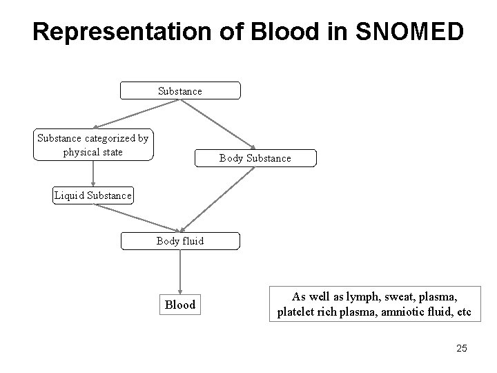 Representation of Blood in SNOMED Substance categorized by physical state Body Substance Liquid Substance