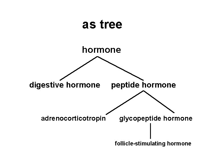 as tree hormone digestive hormone peptide hormone adrenocorticotropin glycopeptide hormone follicle-stimulating hormone 