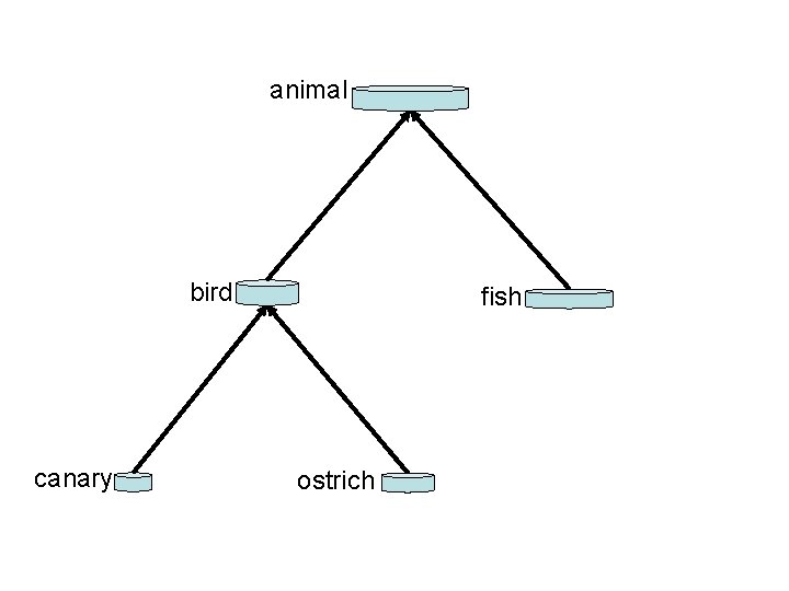 Species Genera as Tree animal bird canary fish ostrich 