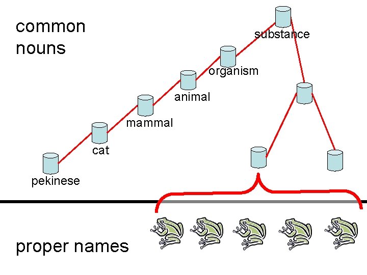 common nouns substance Common nouns organism animal mammal cat pekinese proper names 