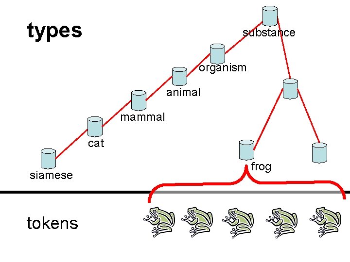 types substance organism animal mammal cat siamese tokens frog 