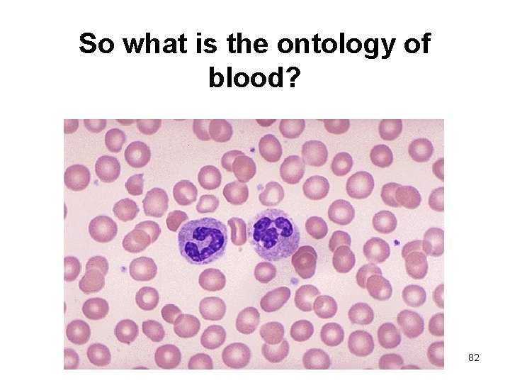 So what is the ontology of blood? 82 
