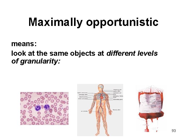 Maximally opportunistic means: look at the same objects at different levels of granularity: 93