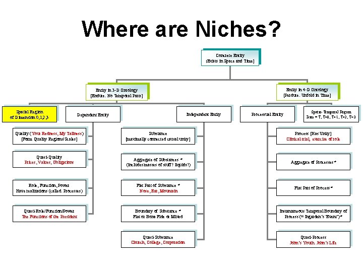 Where are Niches? Concrete Entity in Space and Time] [Exists Entity in 4 -D