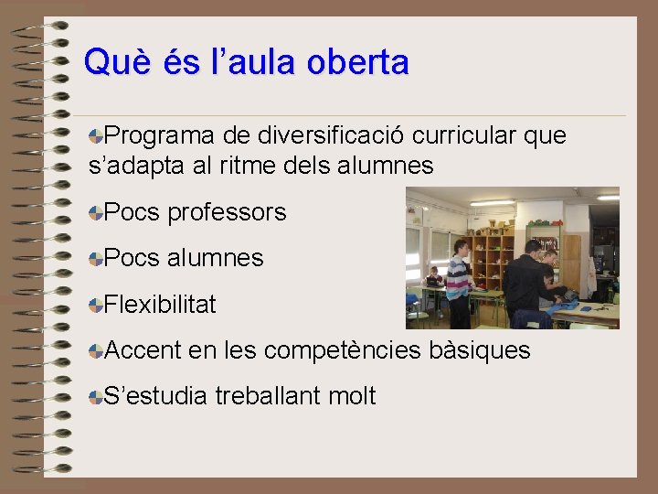 Què és l’aula oberta Programa de diversificació curricular que s’adapta al ritme dels alumnes