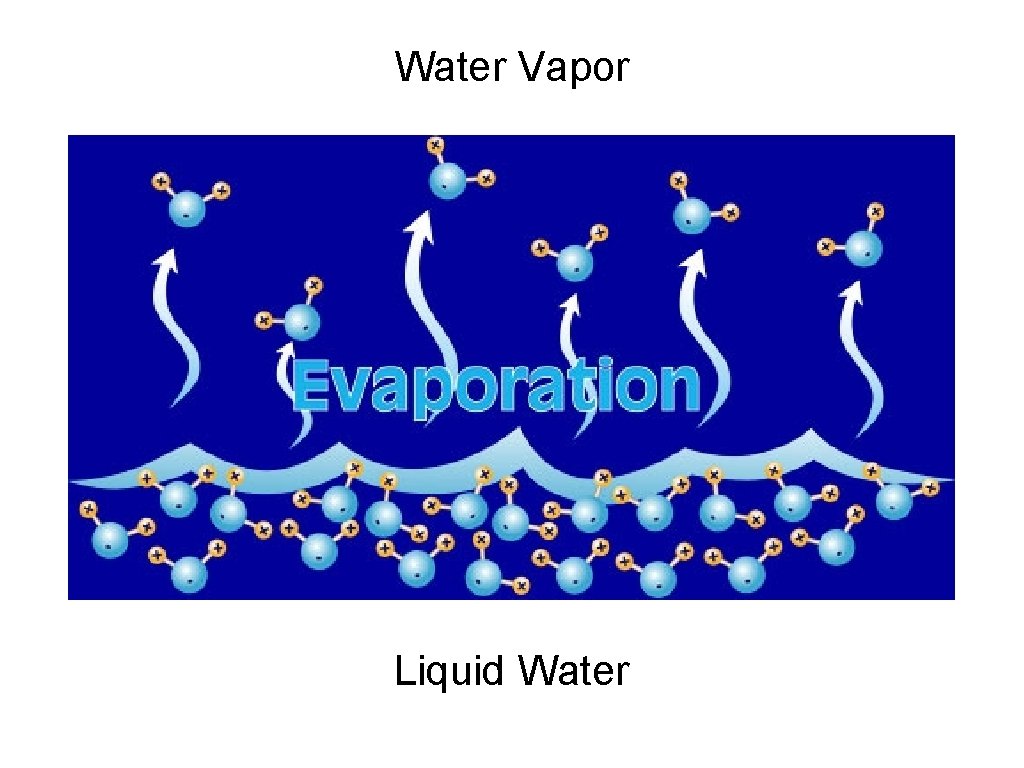 Water Vapor Liquid Water 