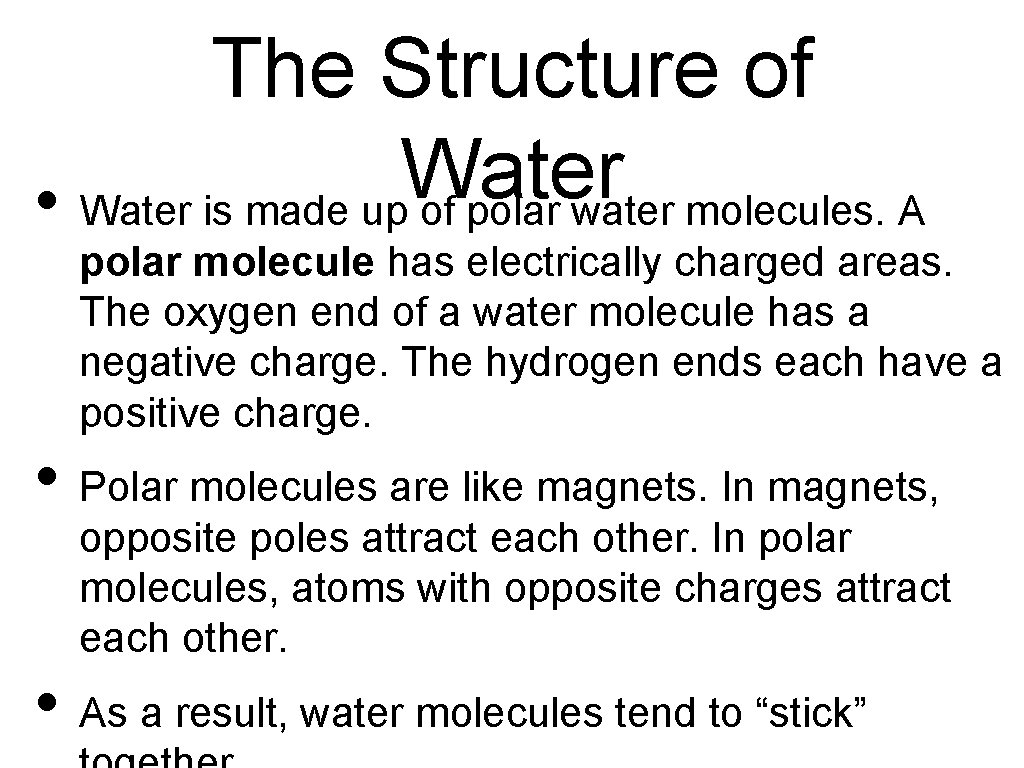 The Structure of Water • Water is made up of polar water molecules. A