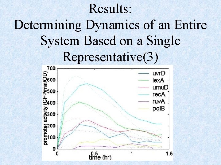 Results: Determining Dynamics of an Entire System Based on a Single Representative(3) 