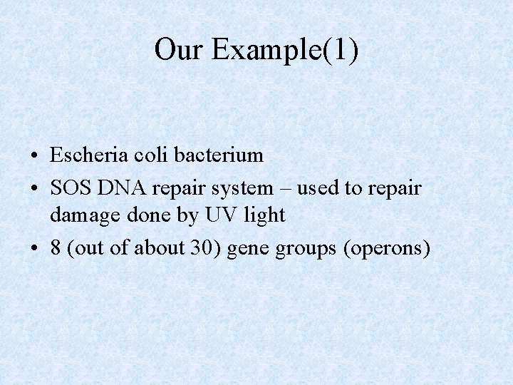 Our Example(1) • Escheria coli bacterium • SOS DNA repair system – used to