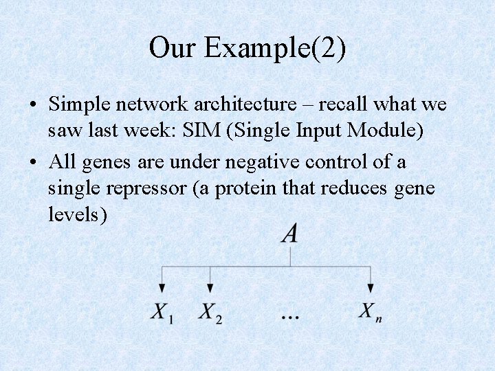 Our Example(2) • Simple network architecture – recall what we saw last week: SIM