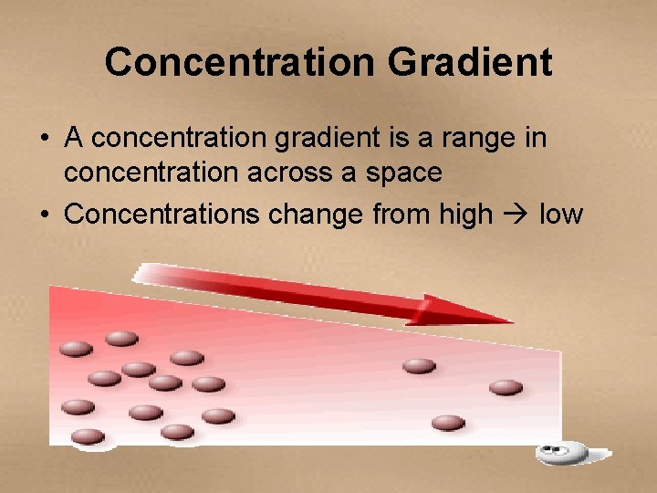 Concentration Gradient • A concentration gradient is a range in concentration across a space
