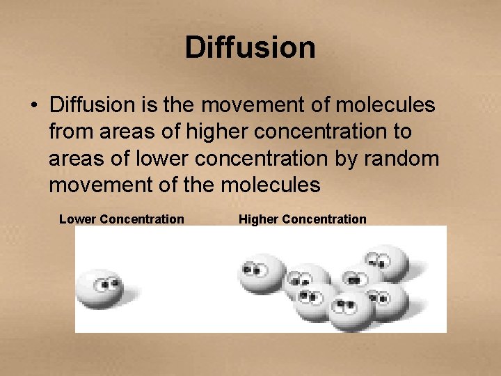 Diffusion • Diffusion is the movement of molecules from areas of higher concentration to