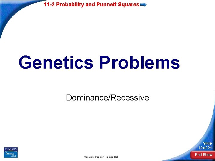 11 -2 Probability and Punnett Squares Genetics Problems Dominance/Recessive Slide 12 of 21 Copyright