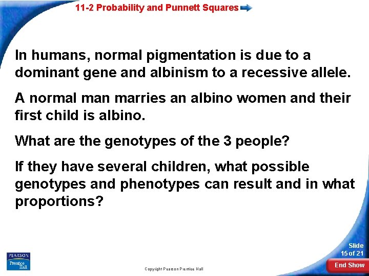 11 -2 Probability and Punnett Squares In humans, normal pigmentation is due to a