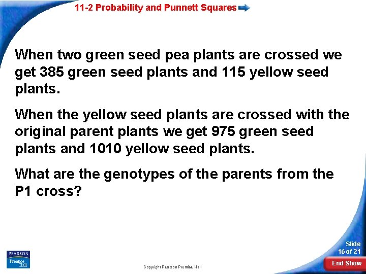 11 -2 Probability and Punnett Squares When two green seed pea plants are crossed
