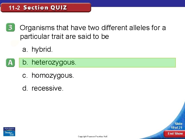 11 -2 Organisms that have two different alleles for a particular trait are said