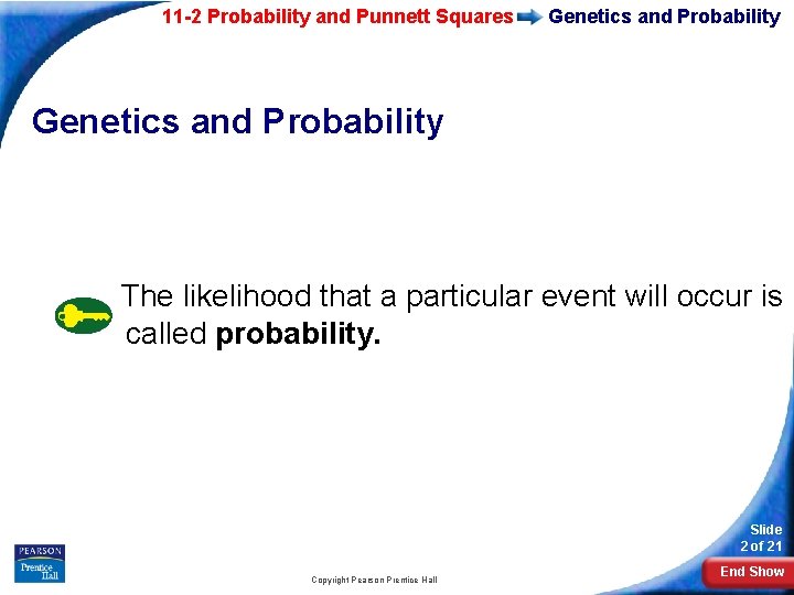 11 -2 Probability and Punnett Squares Genetics and Probability The likelihood that a particular