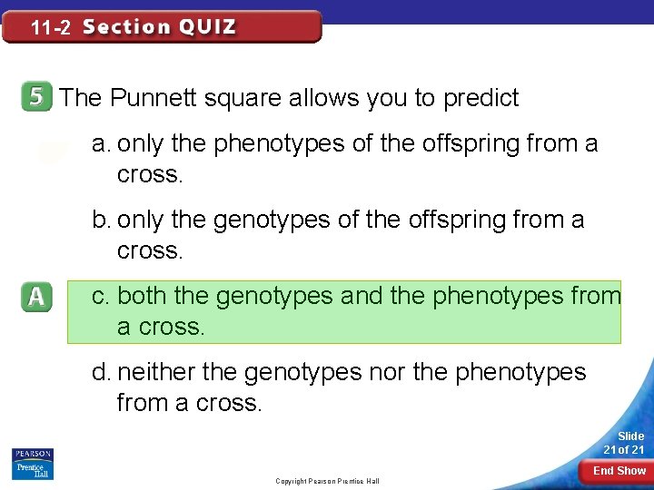 11 -2 The Punnett square allows you to predict a. only the phenotypes of