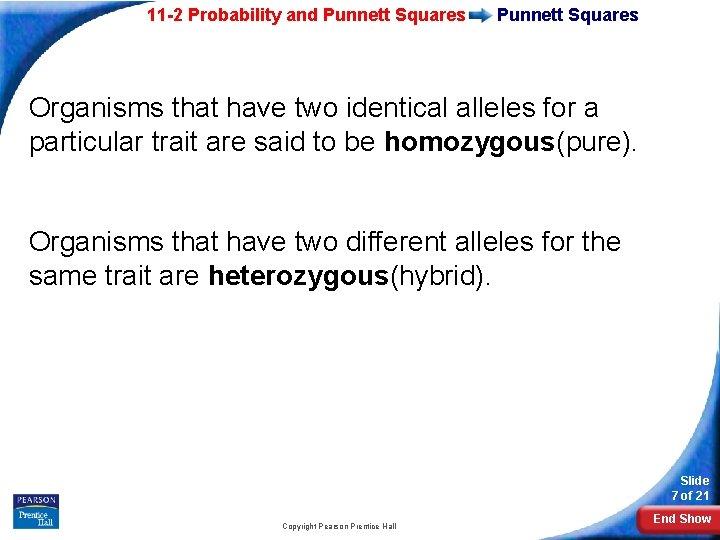 11 -2 Probability and Punnett Squares Organisms that have two identical alleles for a