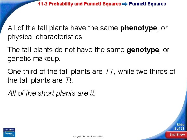 11 -2 Probability and Punnett Squares All of the tall plants have the same