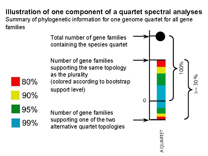 Illustration of one component of a quartet spectral analyses Summary of phylogenetic information for
