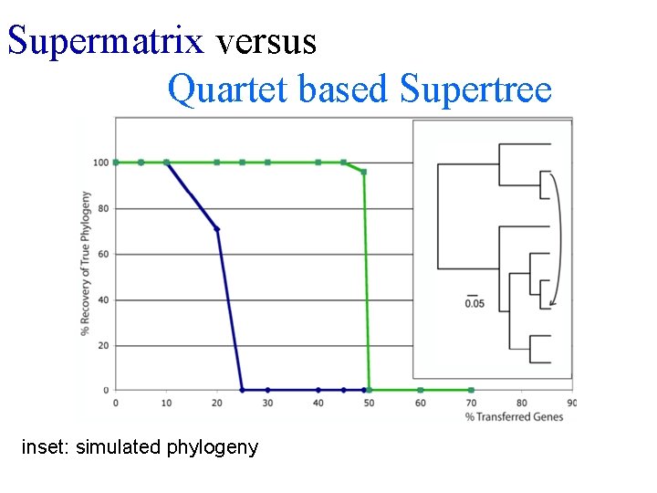 Supermatrix versus Quartet based Supertree inset: simulated phylogeny 